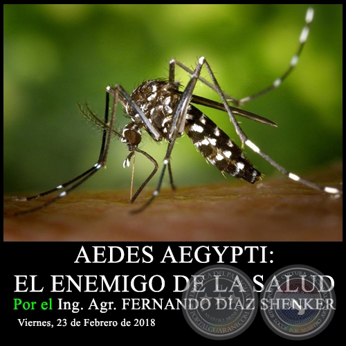 AEDES AEGYPTI: EL ENEMIGO DE LA SALUD - Ing. Agr. FERNANDO DÍAZ SHENKER - Viernes, 23 de Febrero de 2018